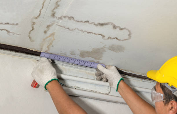Reliable Emergency Water Damage Restoration contractor in Grafton, WV by Water Damage Irwin